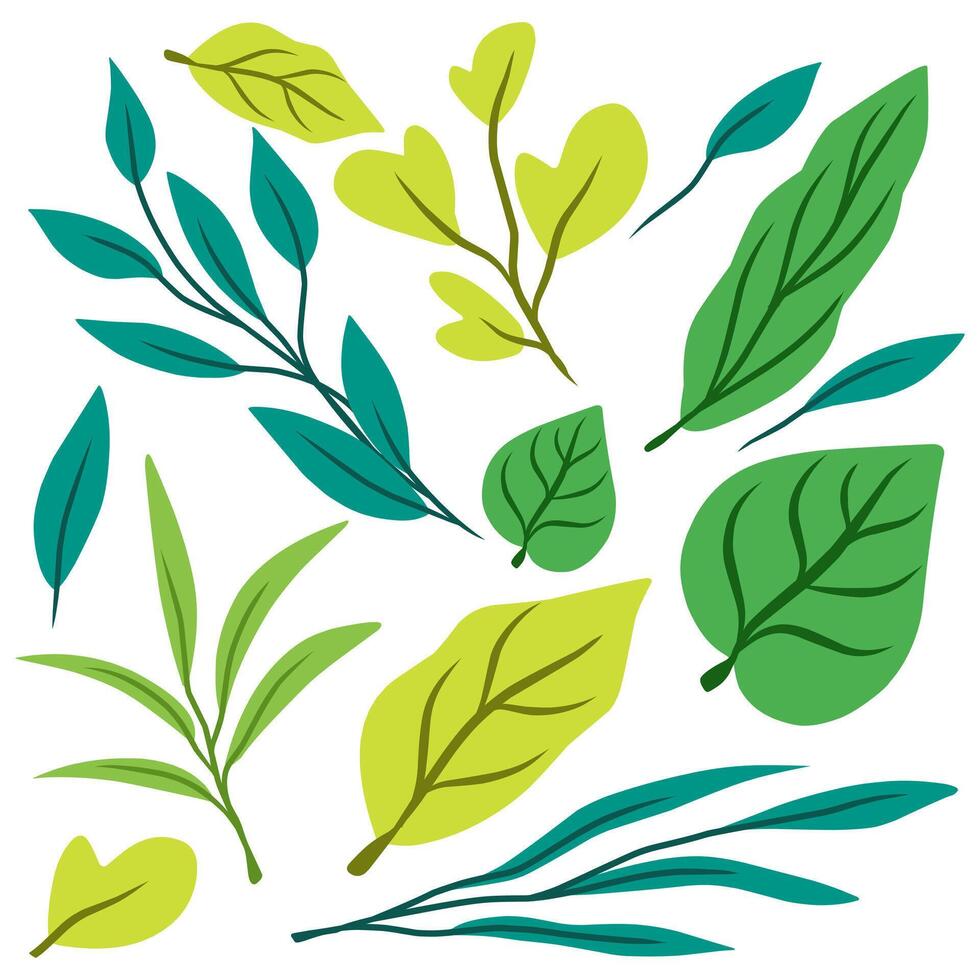 Botanical hand drawn set of various green leaves isolated for decorative art and floral arrangement elements. vector