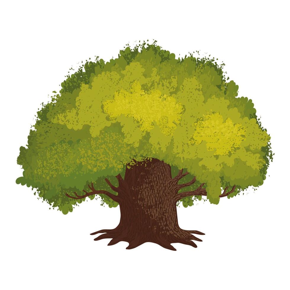 Colorful Textured Illustration of Oak Tree Isolated on White Background vector