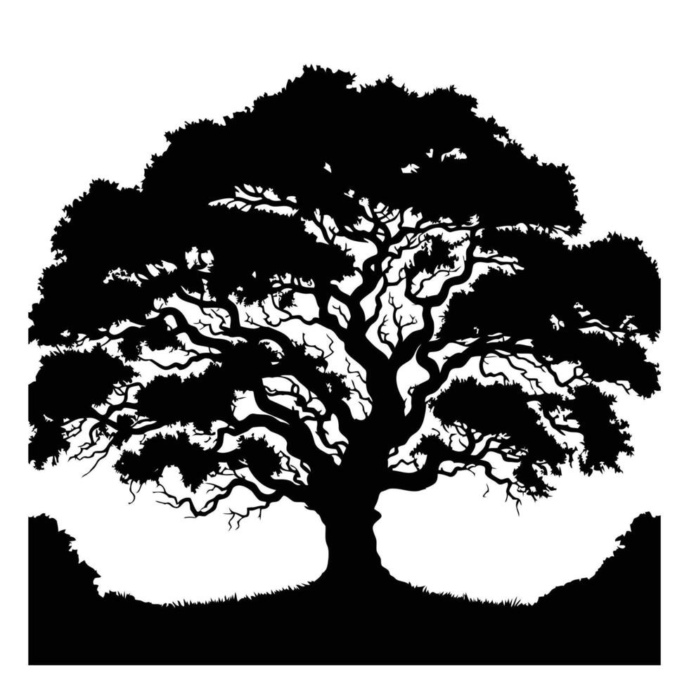 An oak tree silhouette on a white background vector