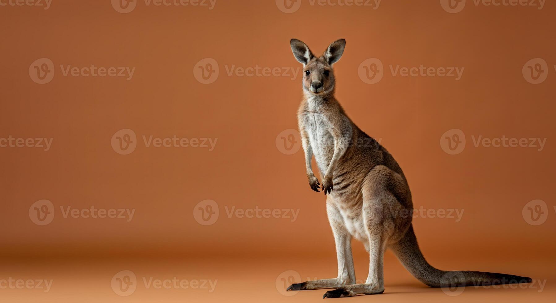 Majestic kangaroo with rich brown fur on minimalist earthy background for nature poster design photo