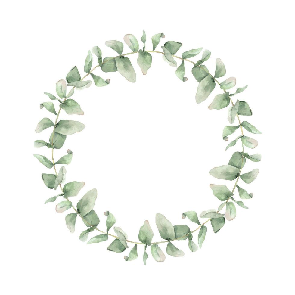 Eucalyptus leaves and green branches. Wreath of eucalyptus greenery. Hand drawn watercolor floral round frame. For wedding invitations, postcard design and stationery. vector