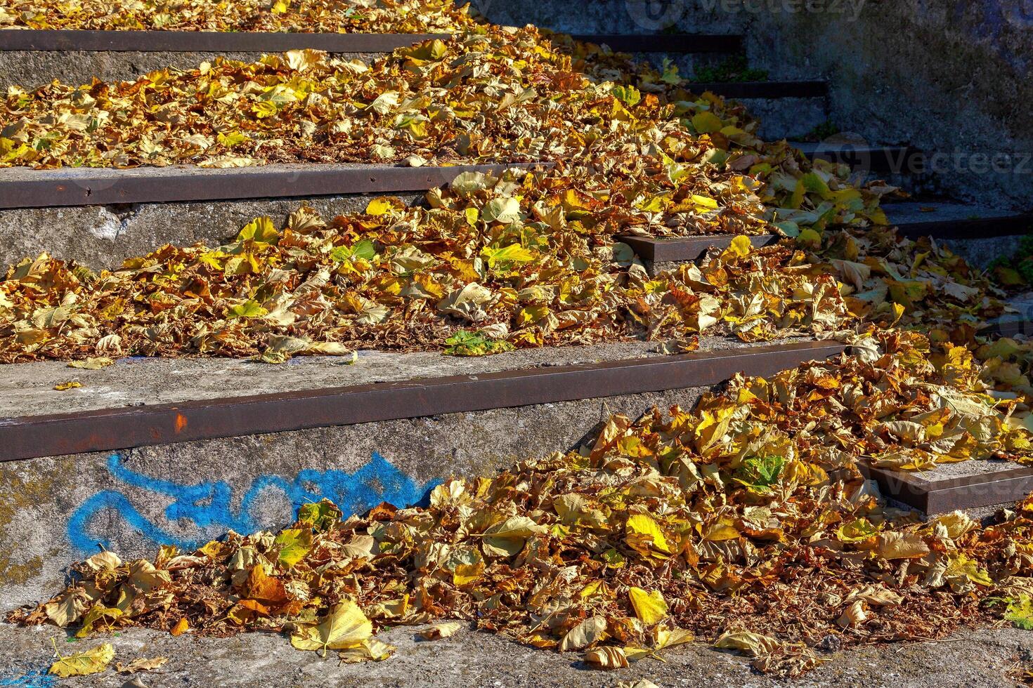 Autumn leaves on steps at Lake Como in Italy photo