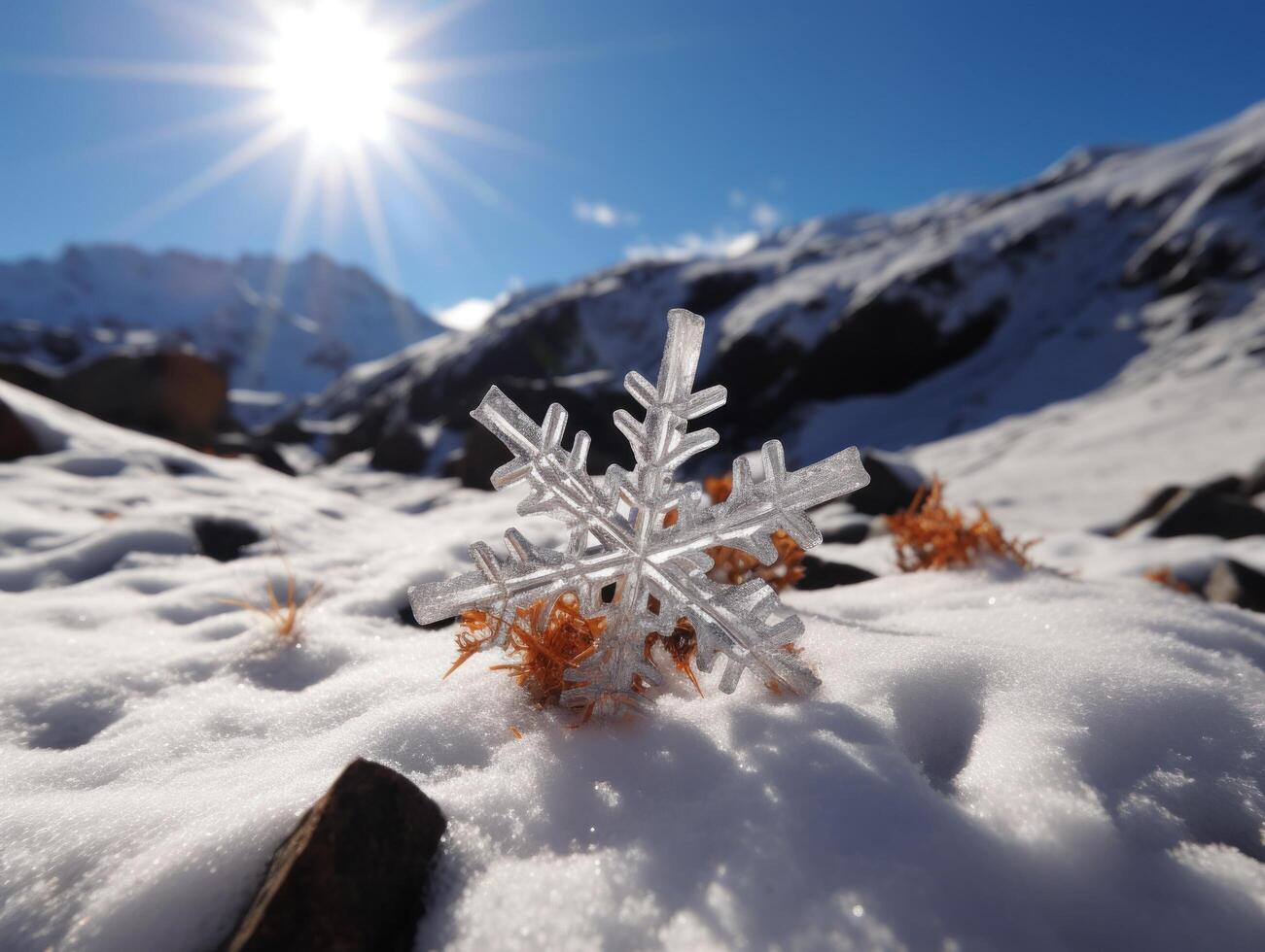 Intricate Snowflake in Snowy Landscape photo