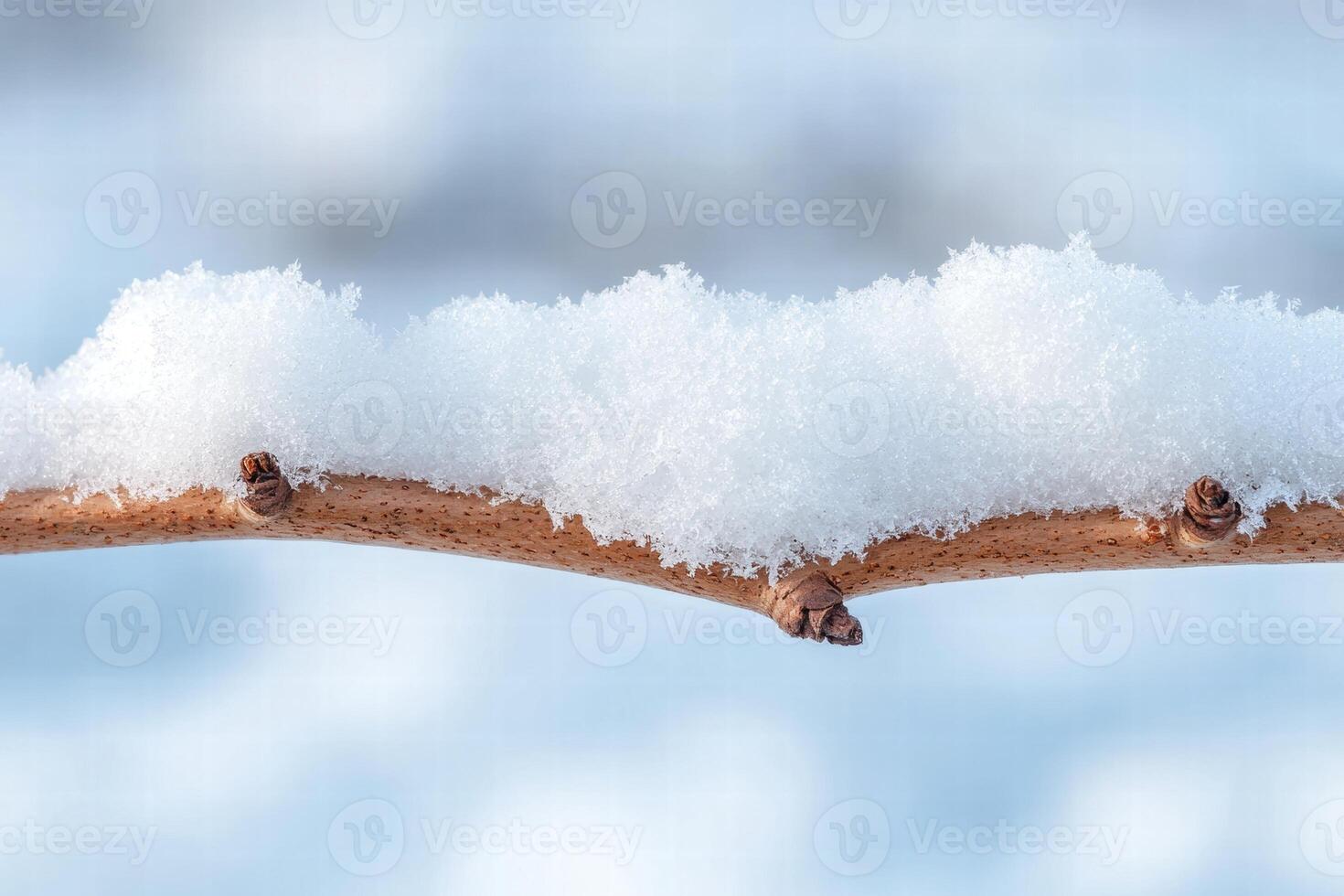 Snowy winter landscape with frozen lake and fallen branch photo