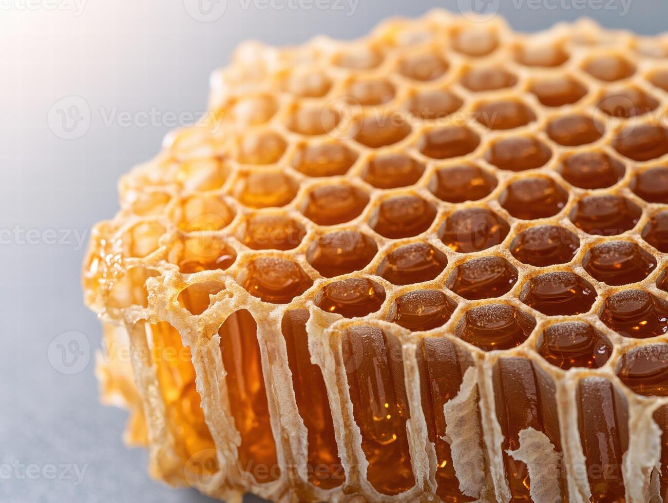 Closeup of a honeycomb filled with golden honey photo