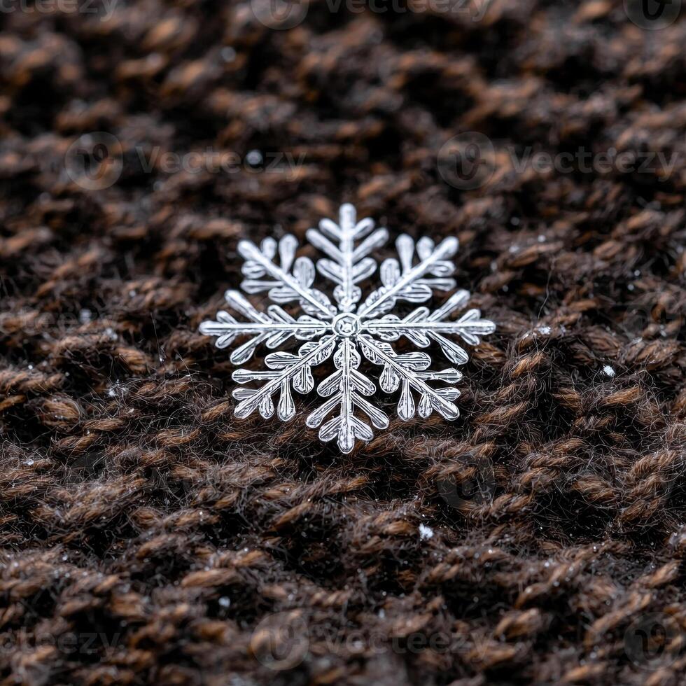Intricate snowflake on forest floor photo