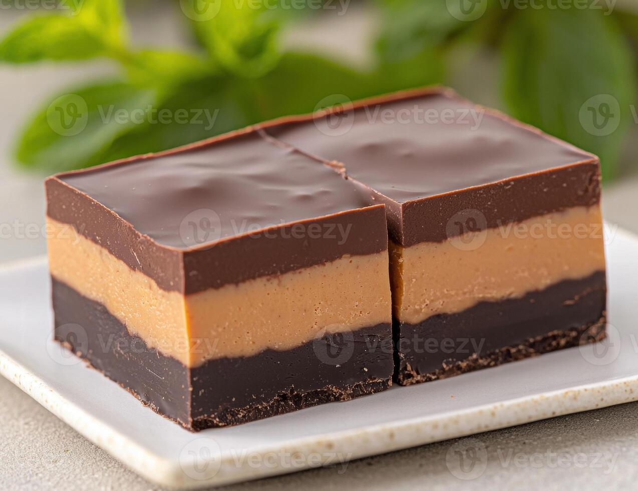 Delicious chocolate and peanut butter layered dessert bars photo