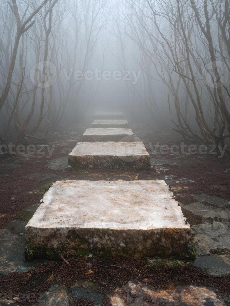 Mysterious forest path leading to the unknown photo