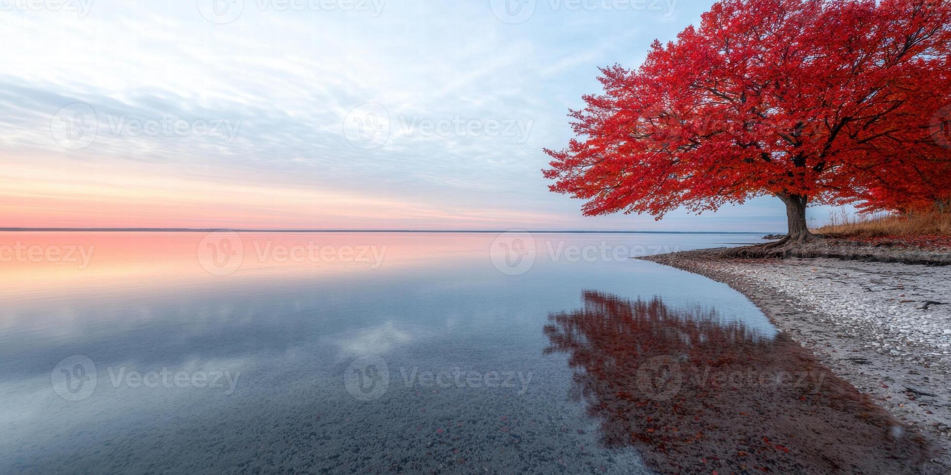 Vibrant autumn tree reflecting in serene lake at sunset photo