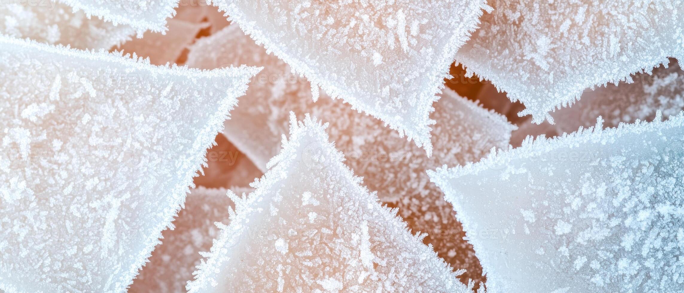 Intricate patterns of frost on a surface photo