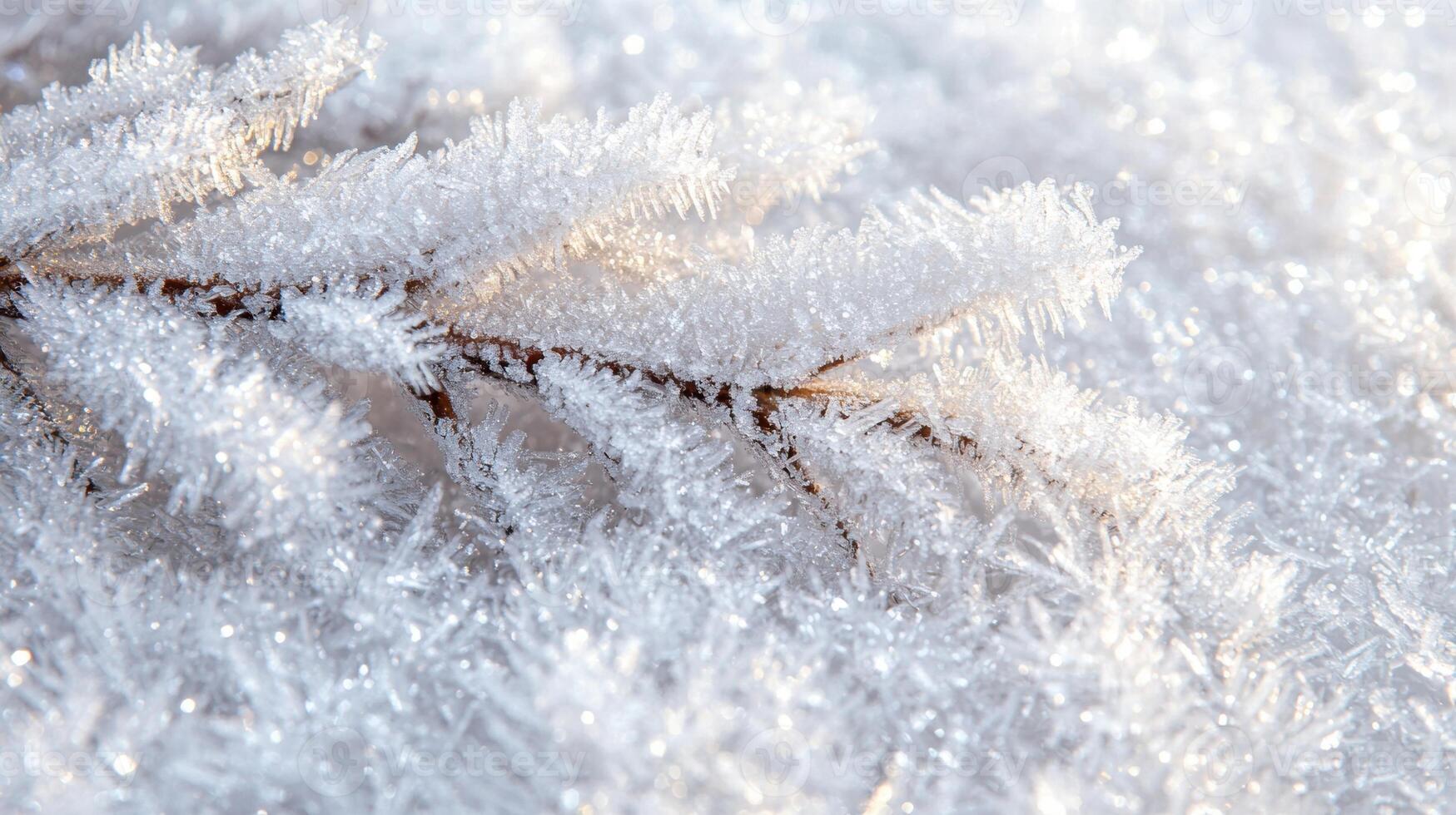 Frosty winter wonderland with intricate ice crystals photo