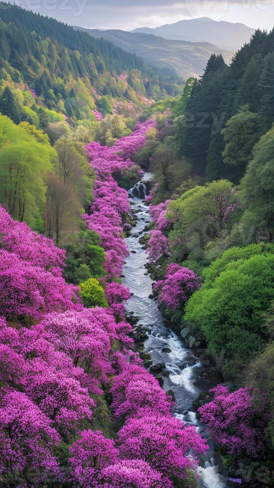 Azalea blossoms carpet hillsides near mountain streams, photorealistic photo
