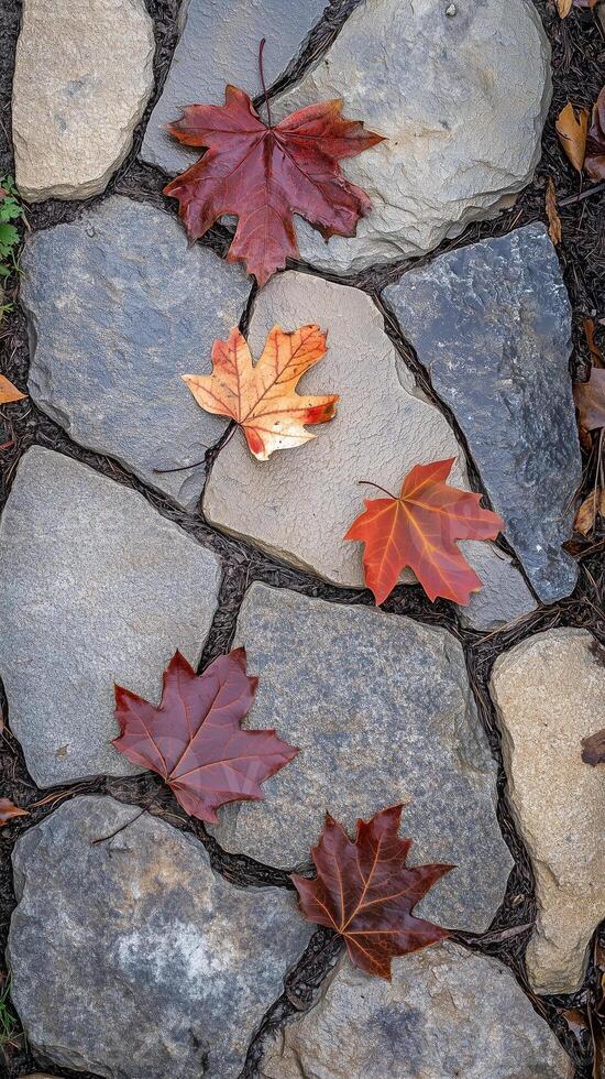 Maple leaves scatter across stone paths in garden spaces, photorealistic photo