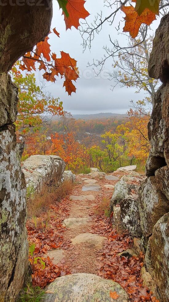 Sassafras branches frame garden paths, adding depth beside weathered rock walls, photorealistic photo