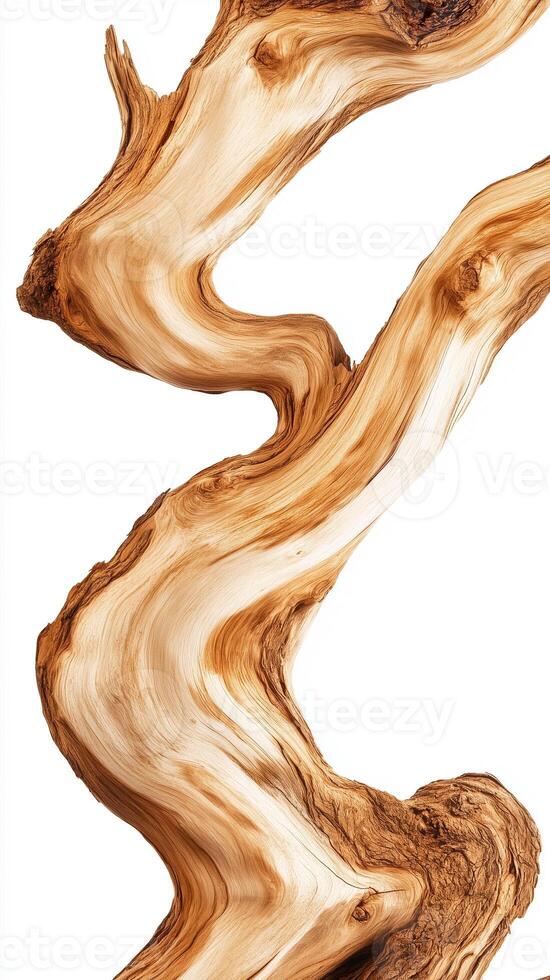 Cedar trunk splitting into multiple leaders, photorealistic wallpaper photo