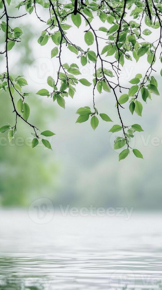Elm branches extending over a water basin, photorealistic wallpaper photo