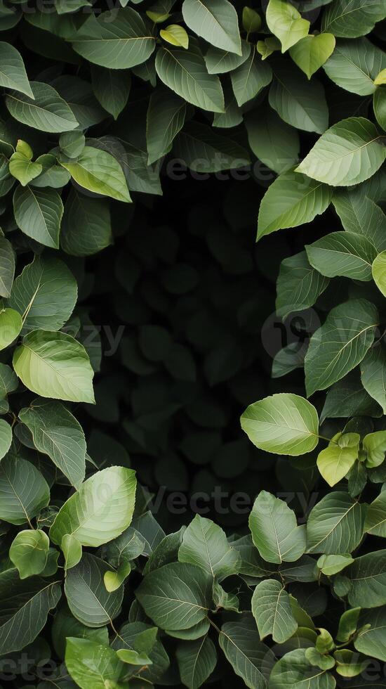 Leaf shapes creating border design in sequence, photorealistic wallpaper photo