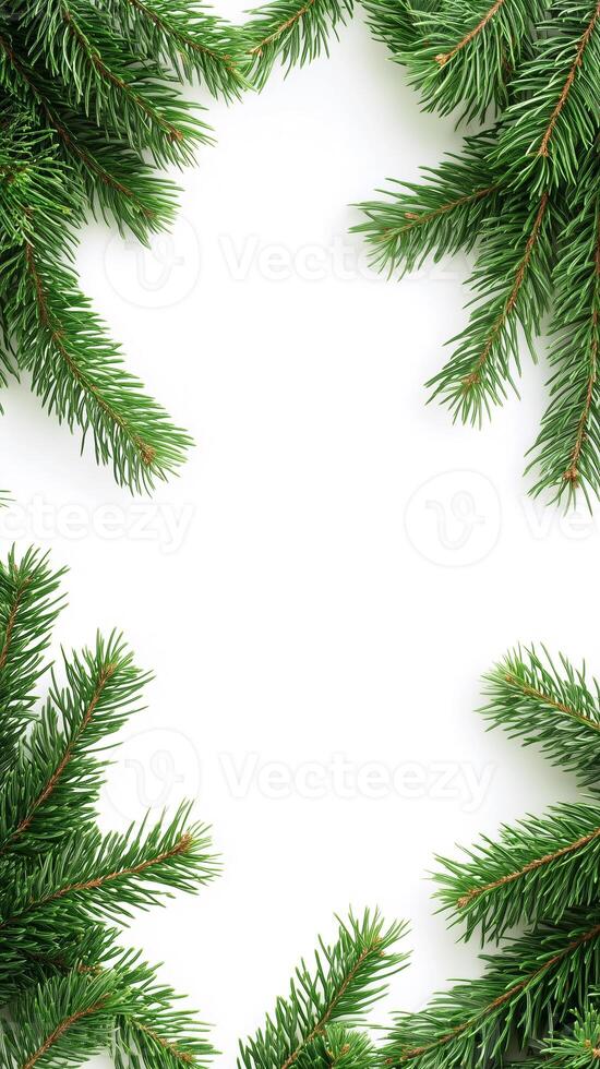 Spruce branches weeping toward the ground plane, wallpaper art photo