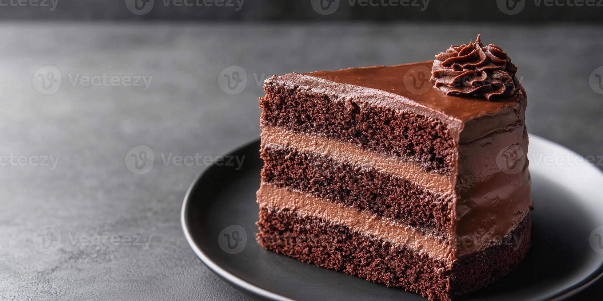 Chocolate cake slice on a plate with layers of cake and rich filling, gastronomy photography photo