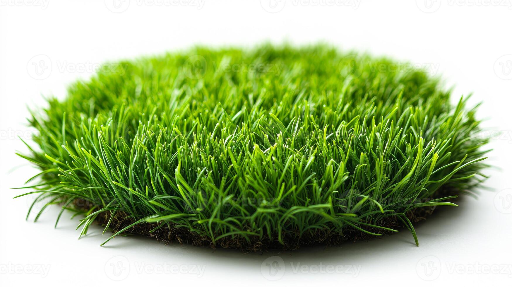 A vibrant patch of green grass showcases its rich color under bright daylight, symbolizing growth and nature. photo