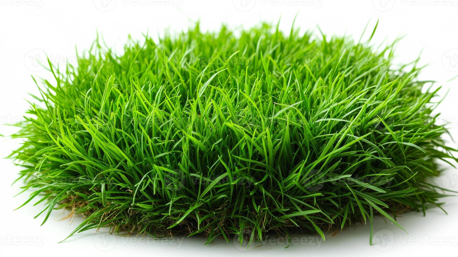 A vibrant patch of healthy grass displaying rich green colors, showcasing its natural texture and growth. photo