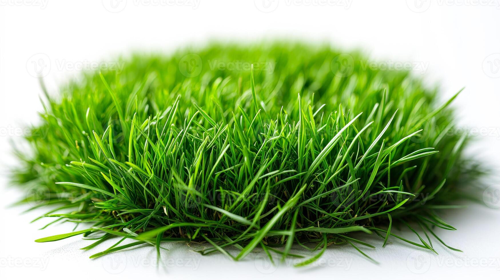 Lush green grass is neatly arranged in a circular shape, showcasing vibrant blades swaying gently in the light. photo