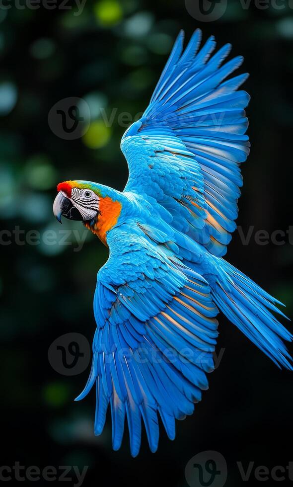 A blue and yellow parrot is flying through the air. The bird's wingspan is large and its feathers are vibrant. Concept of freedom and beauty as the parrot soars through the sky photo