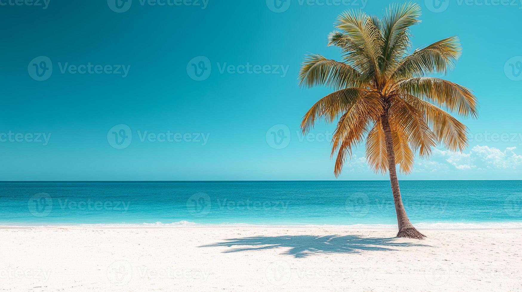 Palm tree on a serene beach under blue sky. A lone palm tree on a serene beach watches over calm turquoise waters and a clear blue sky with soft clouds. photo