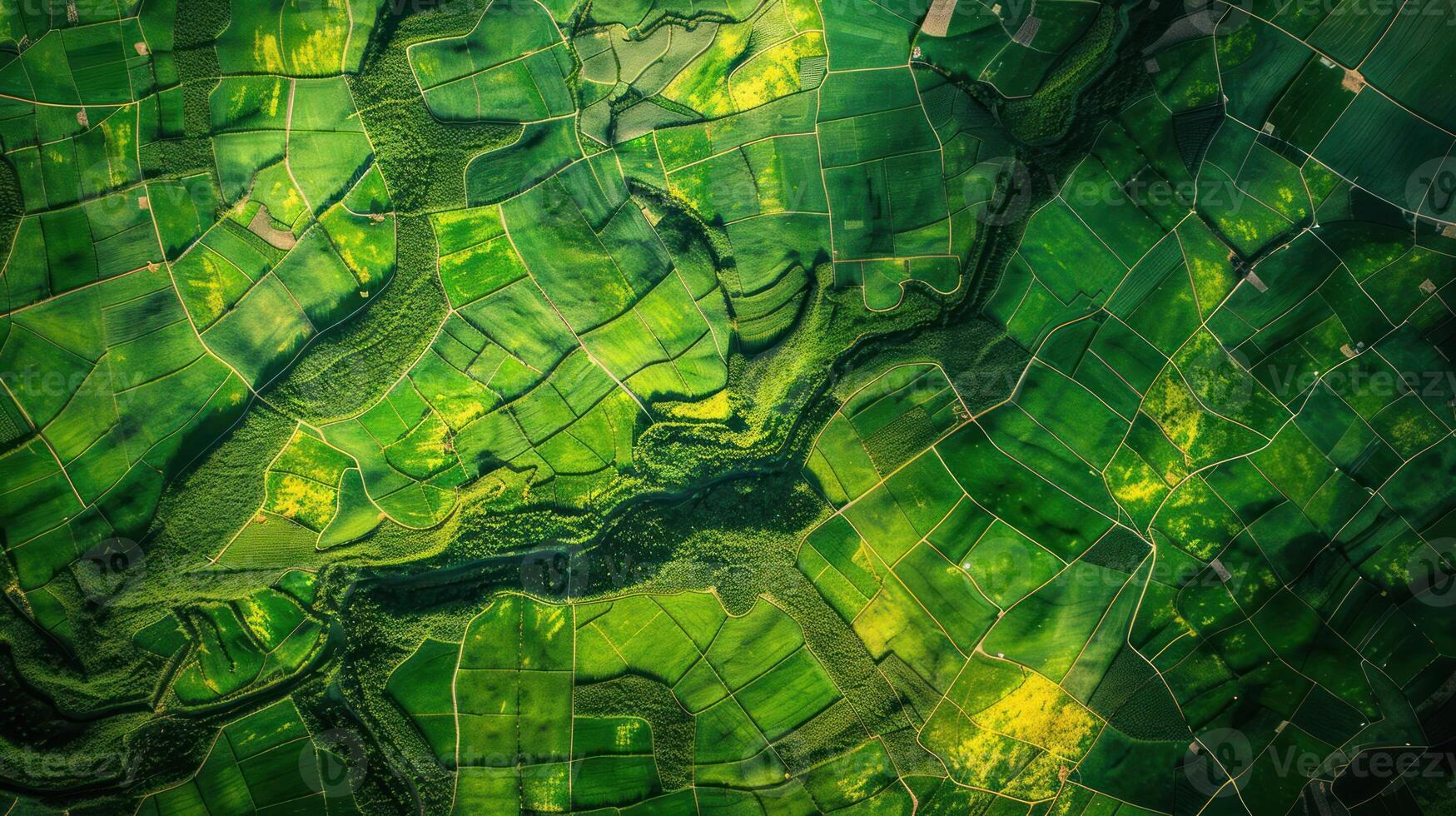 Aerial view of lush green farmland with winding river and patchwork fields. photo