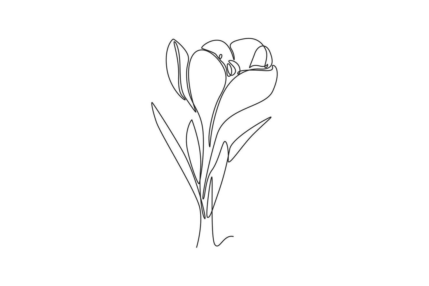 Single continuous line drawing beauty fresh croci for home wall decor art poster print. Printable decorative crocus flower for invitation card. Dynamic one line draw graphic design illustration vector