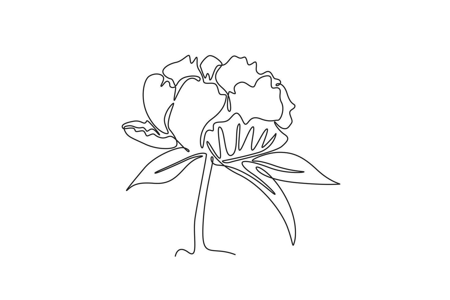 Single one line drawing of beauty fresh herbaceous plant for garden logo. Printable decorative peony flower concept for fashion fabric textile. Continuous line draw design graphic illustration vector