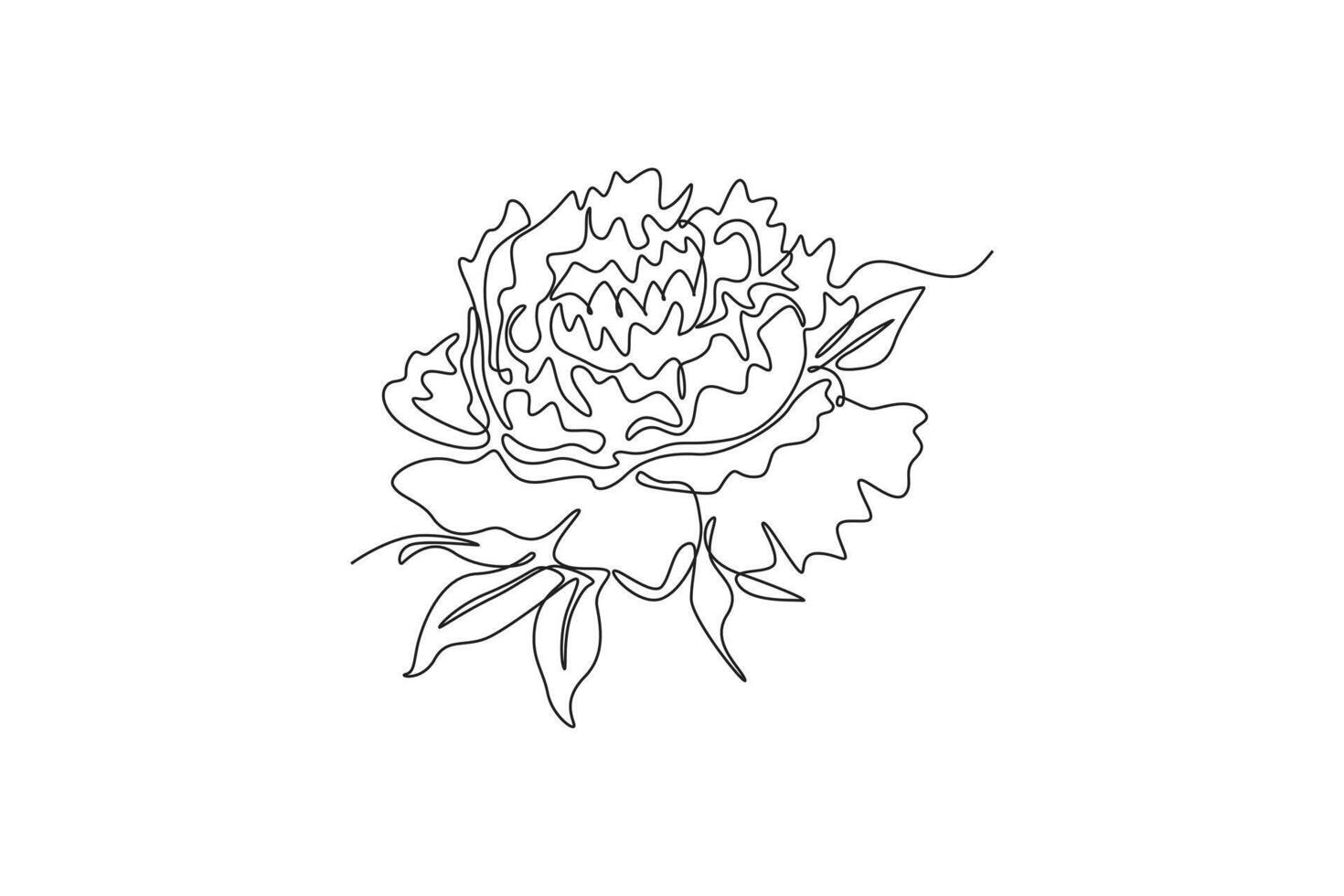 Single continuous line drawing beauty fresh herbaceous plant for home wall decor art poster print. Printable decorative peony flower for card ornament. One line draw graphic design illustration vector