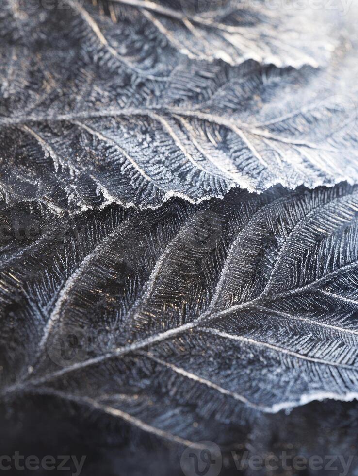 Detailed Close-Up of Frosted Leaves Showcasing Intricate Texture and Natural Patterns for Seasonal Themes and Nature Illustrations photo