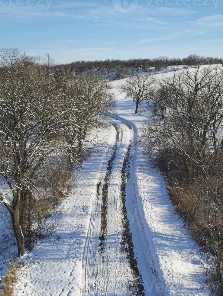 Serene Winter Landscape with Snow-Covered Pathway Winding Through Leafless Trees and Rolling Hills Under a Clear Blue Sky photo