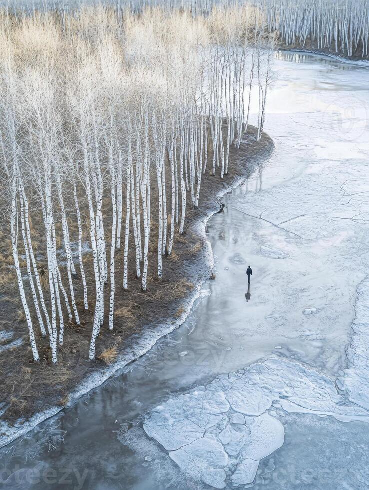 Serene Winter Landscape with Bare Trees and Ice-Covered Waters in a Calm Frozen Environment Captured from Above photo