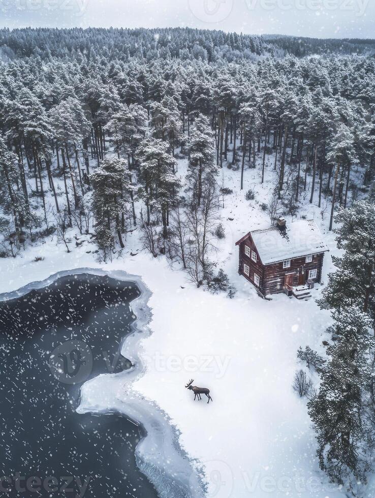 A red house surrounded by snow and trees photo