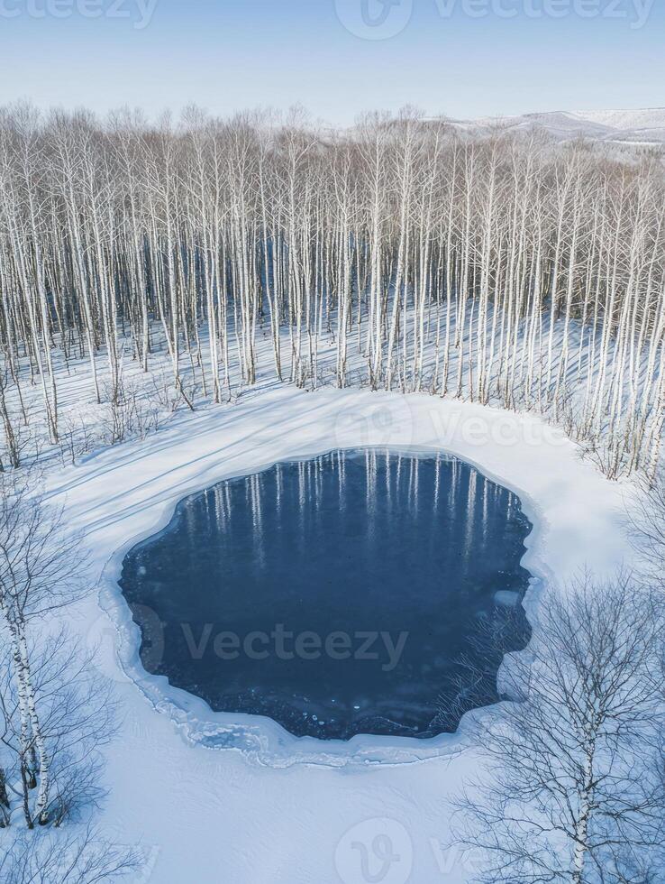 Tranquil Winter Scene of a Frozen Pond Surrounded by Snow-Covered Trees in a Serene Landscape Retreating into the Horizon on a Clear Day photo