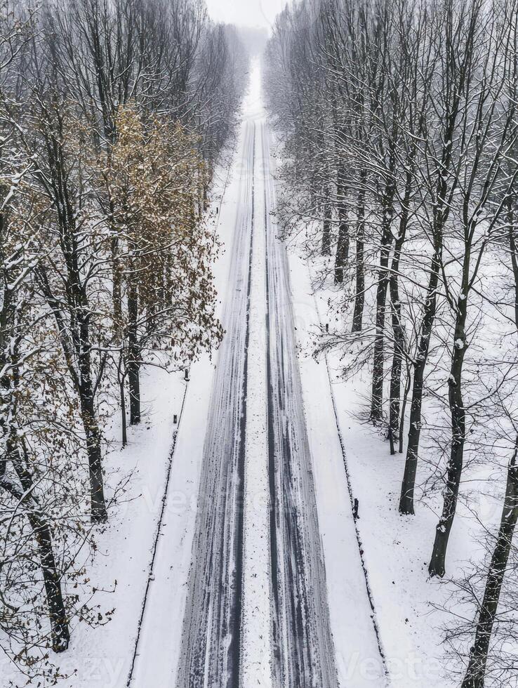 Serene Winter Landscape with Snow-Covered Road Surrounded by Leafless Trees in a Quiet, Frosty Atmosphere Captured from Above photo