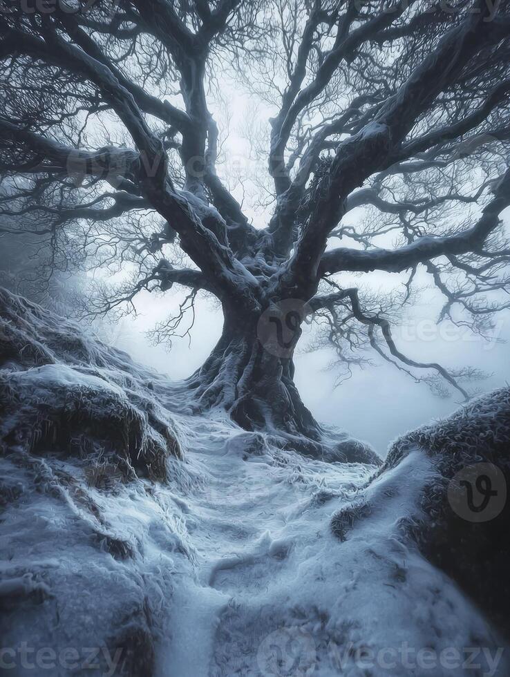 Majestic Winter Tree in Snowy Landscape with Barren Branches and Mysterious Atmosphere Creating a Sense of Serenity and Natural Beauty photo