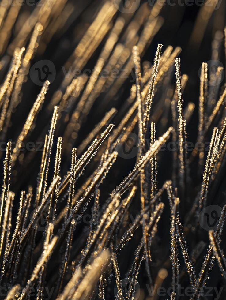Sparkling Frost on Fine Grass Blades Illuminated by Morning Light in Nature's Winter Landscape Capturing Beauty and Intricacy of Cold Seasons photo