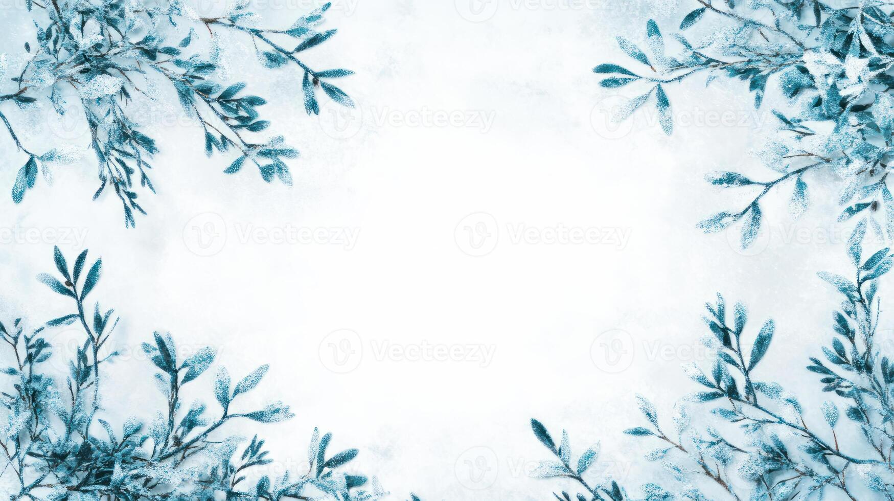 Blue Poinsettias with Snowy Background for Christmas photo