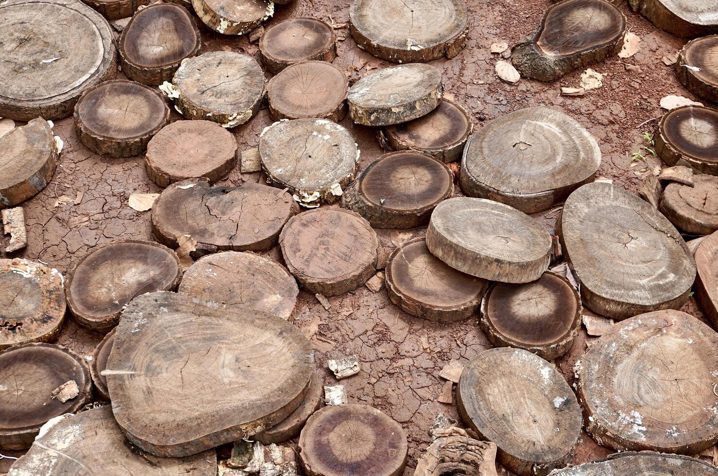 Brown sliced wood grunge flooring texture isolated on horizontal outdoor soil background. photo