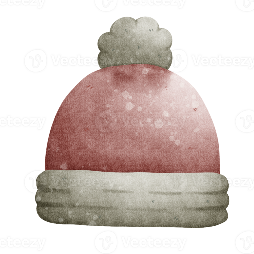 a red hat with a white feather on it png