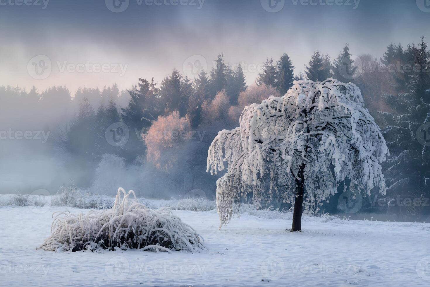 Snow laden tree stands against a misty backdrop, exuding calmness photo