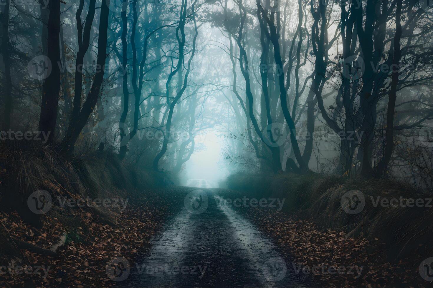 Mystical forest pathway with canopy, fallen leaves, and mist evokes ethereal wonder photo
