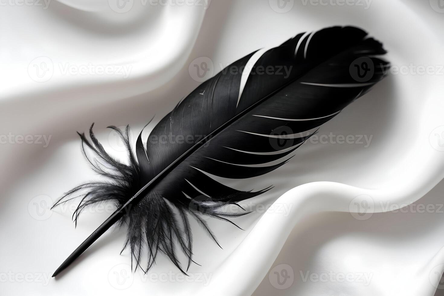 A delicate black feather rests on white, showcasing its soft curves photo