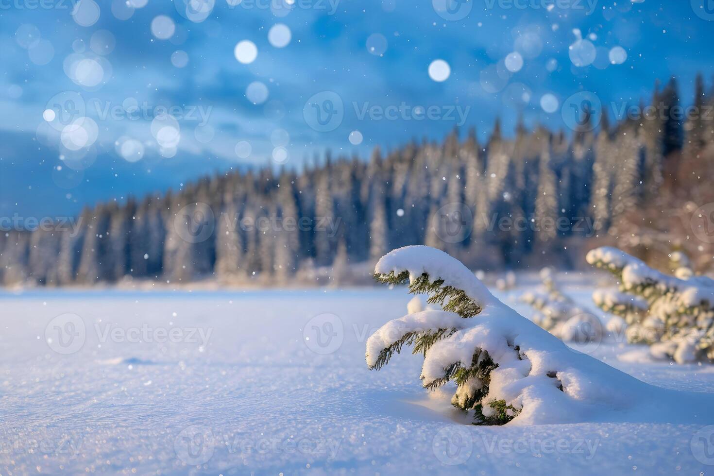Snowflakes fall over a forest of trees under a pale blue winter sky photo