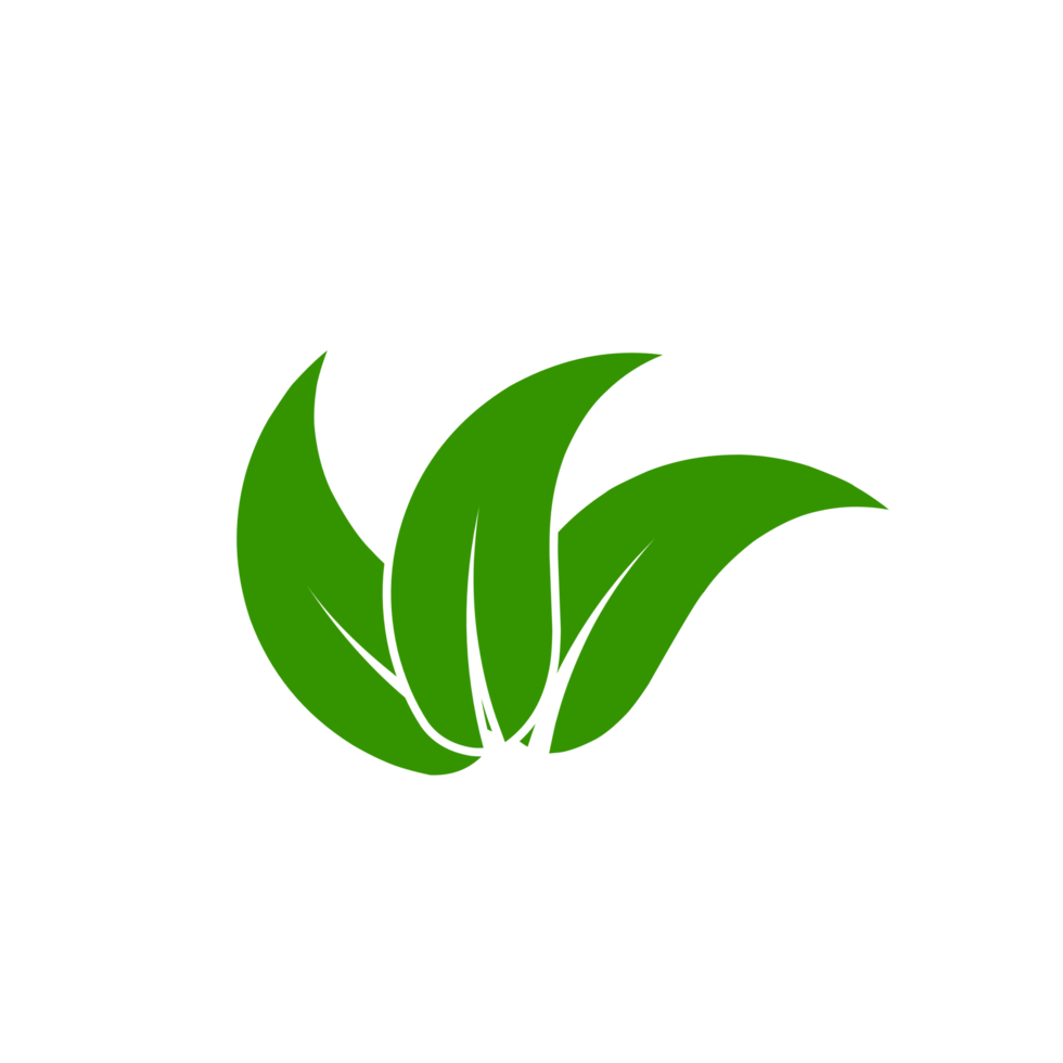 Flat style green leaves symbol for your project png