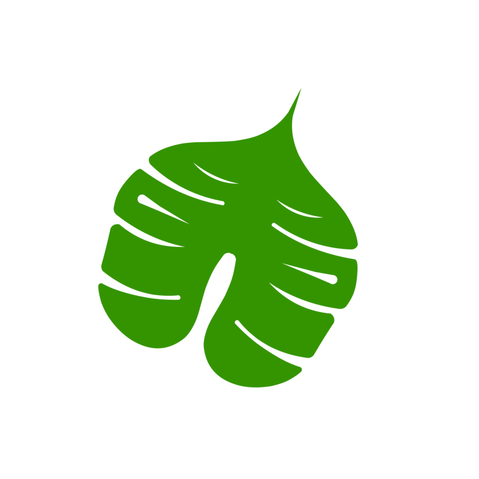 Minimalist Green leaf icon. png