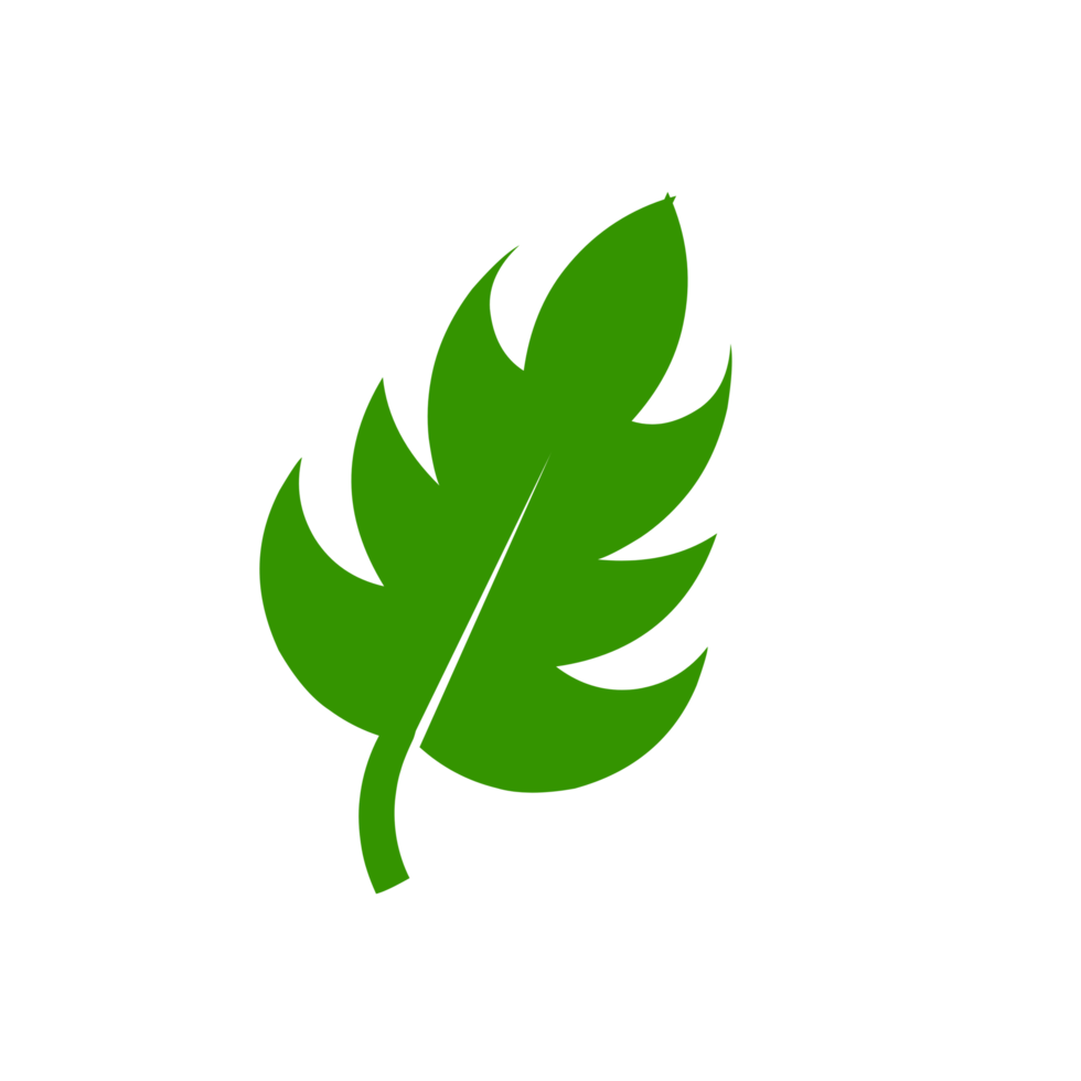 Leaves icon on flat style. Elements design for natural, eco, vegan, bio labels. png